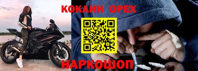 гашик Кунгур