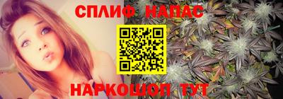 прущие грибы Кумертау