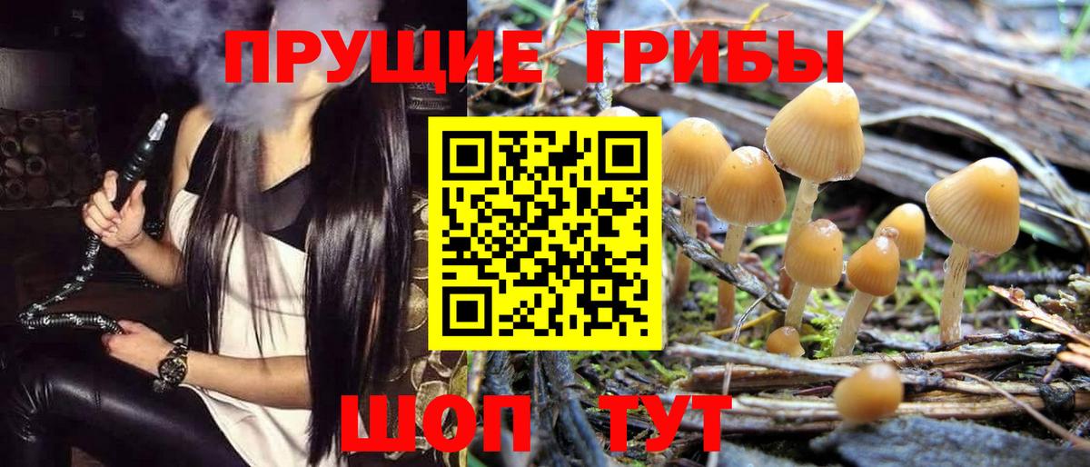 Казань  Галлюциногенные грибы Cubensis  Вход с VPN 